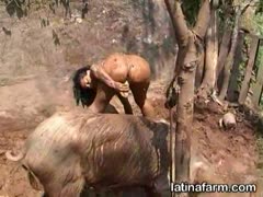 On the farm, Latina beastiality sex with a dog